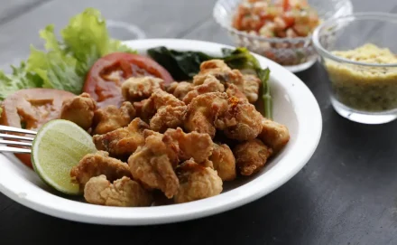 Ribercon - COP30 poderá gerar R$ 3,3 milhões para agricultores familiares